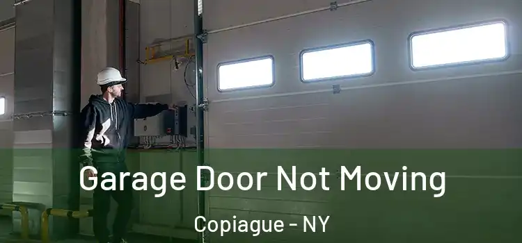  Garage Door Not Moving Copiague - NY