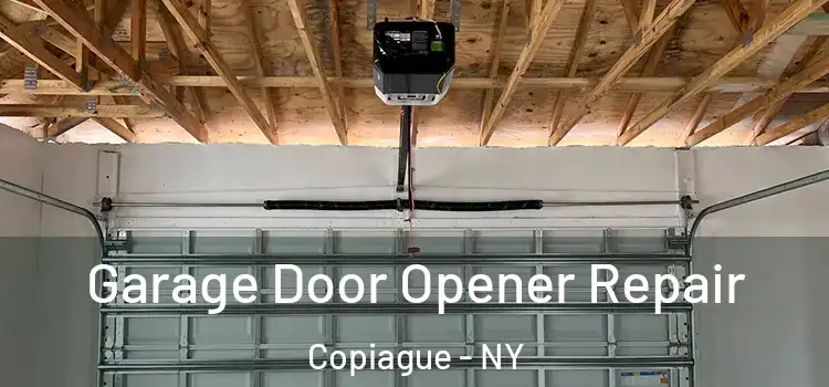  Garage Door Opener Repair Copiague - NY