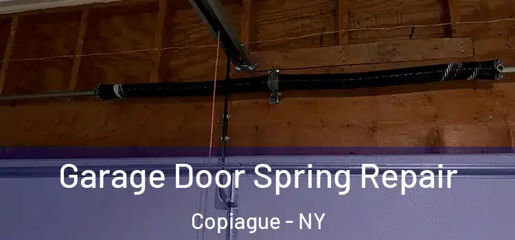  Garage Door Spring Repair Copiague - NY
