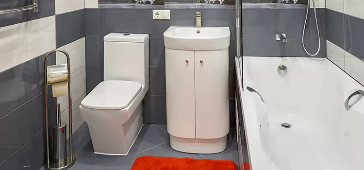Hansgrohe Shaving Mirror Copiague