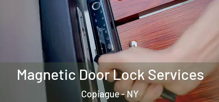  Magnetic Door Lock Services Copiague - NY